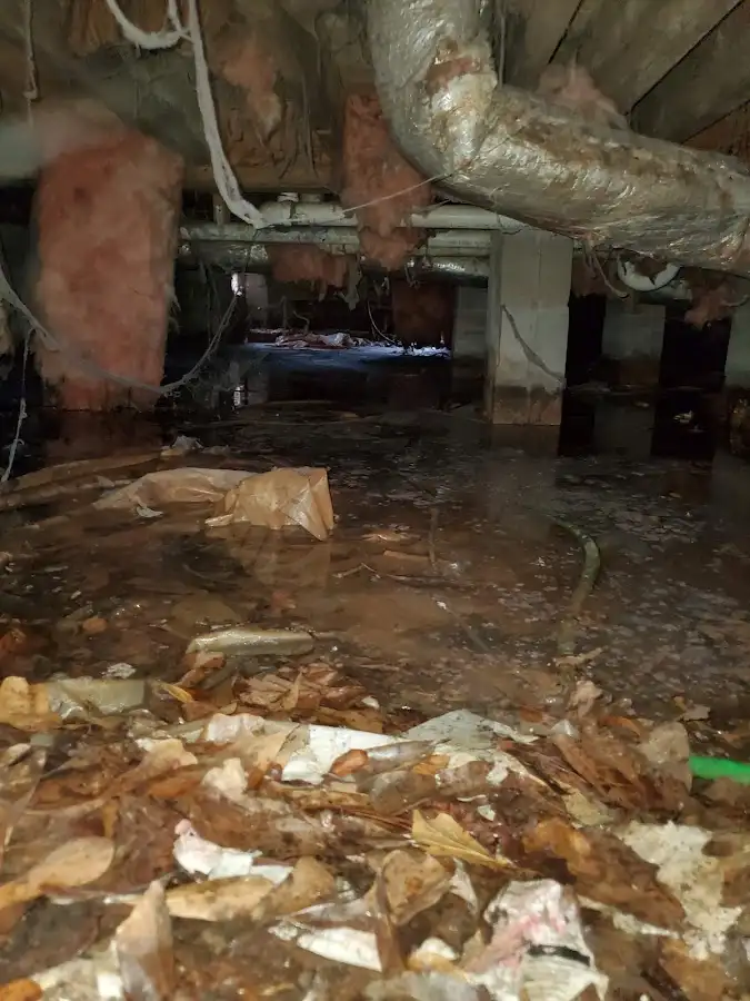 Crawl space flood assessment for Leak Detection & Repair in Adel
